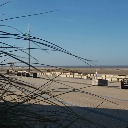 Zeebrugge *